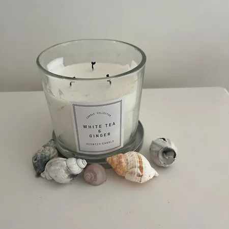 Miscanthus Lägenhet *