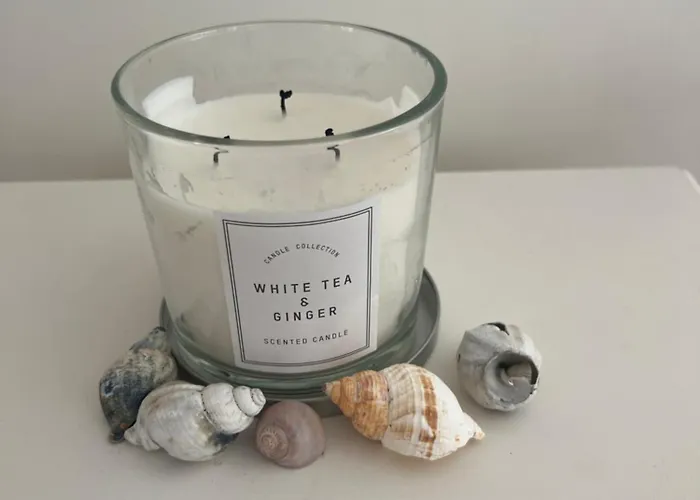 Miscanthus Апартаменты *