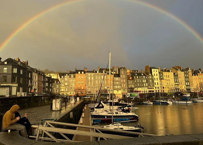 Miscanthus Онфлёр